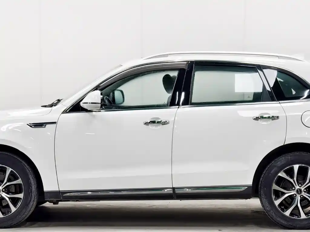 Zotye Zotye T600