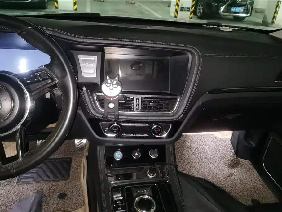 Zotye Zotye T600