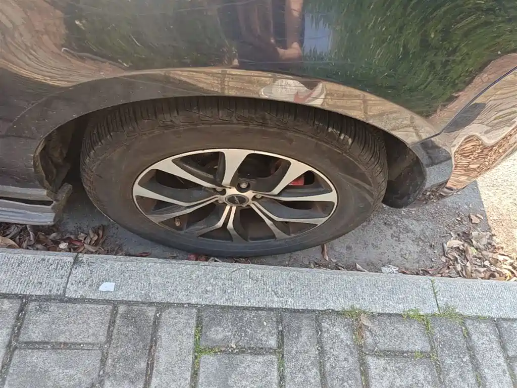 Zotye Zotye T600