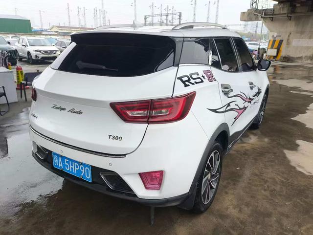 Zotye Zotye T300