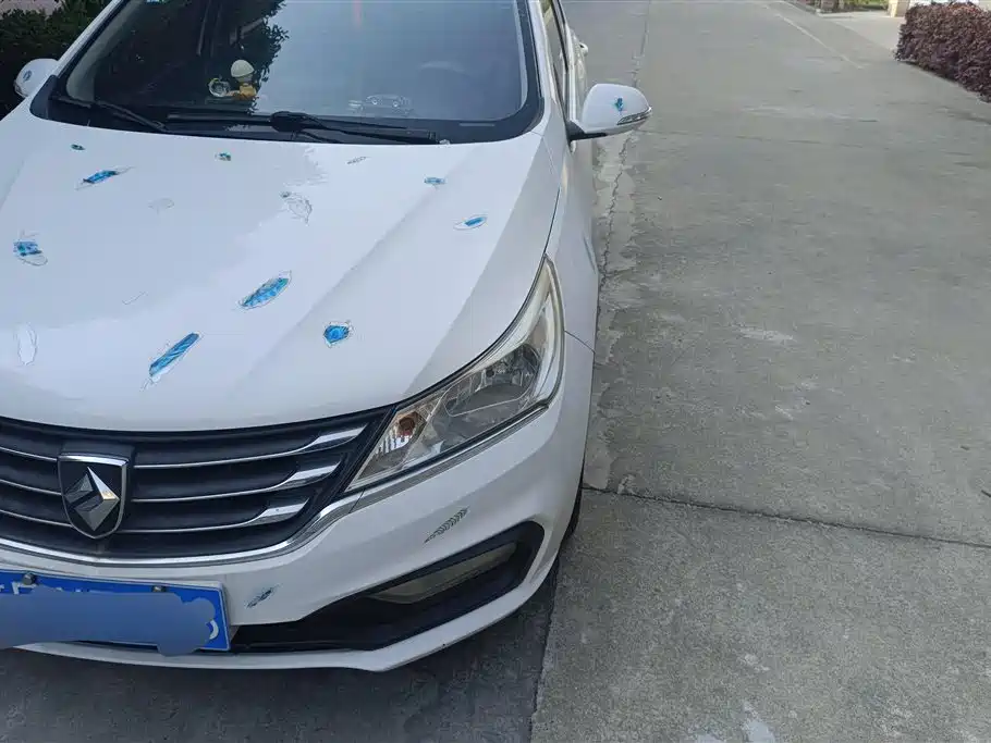 Baojun 310