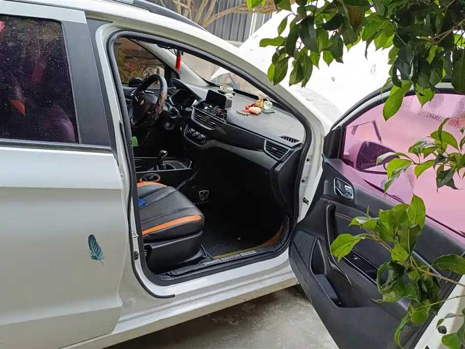 Baojun 310