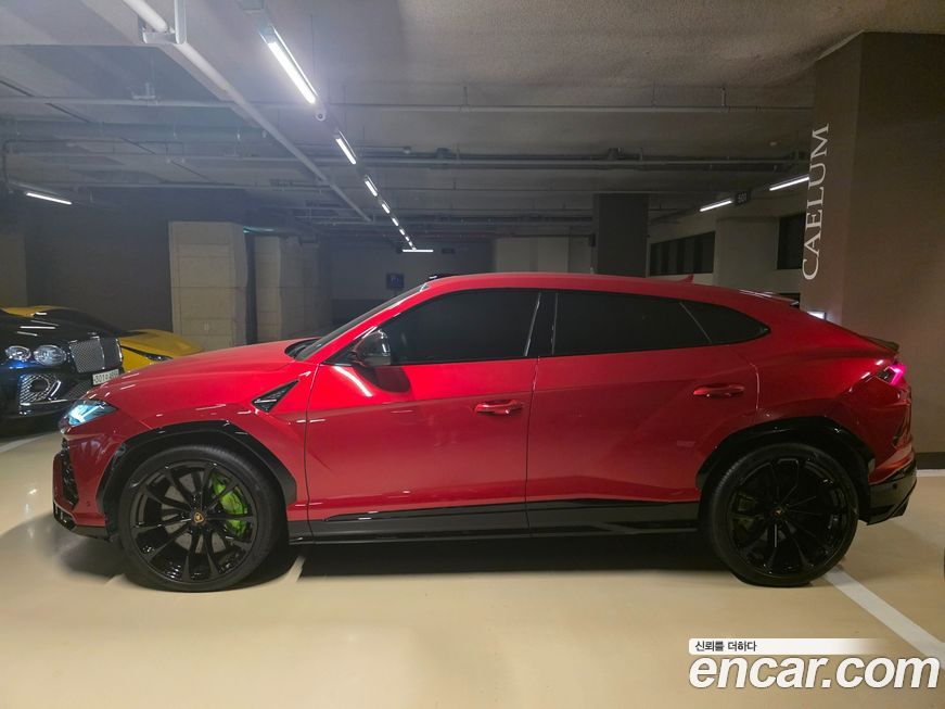 Lamborghini Urus